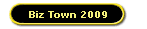 Biz Town 2009