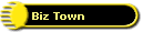 Biz Town