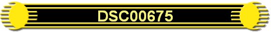 DSC00675