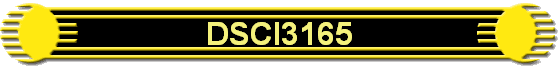 DSCI3165