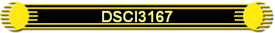 DSCI3167