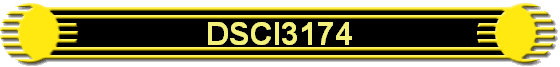 DSCI3174