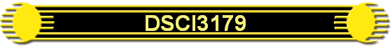 DSCI3179