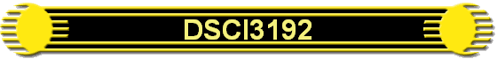 DSCI3192