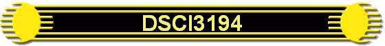 DSCI3194