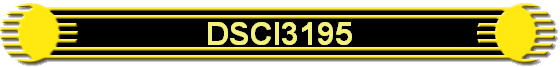 DSCI3195