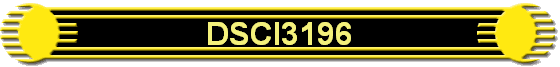 DSCI3196