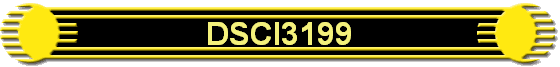 DSCI3199
