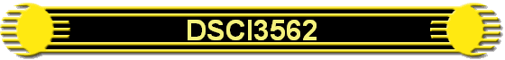 DSCI3562
