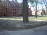 DSCI3534
